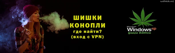 сатива Горно-Алтайск