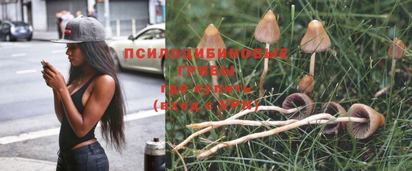 марихуана Заполярный