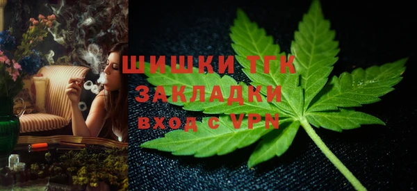 PSILOCYBIN Медвежьегорск