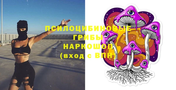 МДМА Заречный