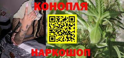 PSILOCYBIN Заводоуковск