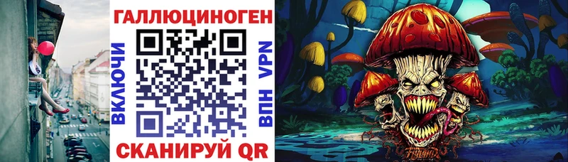 Галлюциногенные грибы Psilocybine cubensis Обь