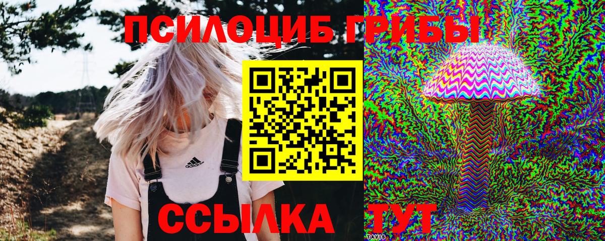 Галлюциногенные грибы Cubensis  Вход с VPN  как найти   Обь 