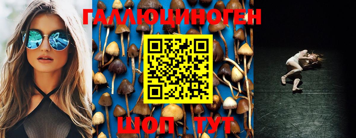 Псилоцибиновые грибы мухоморы Обь